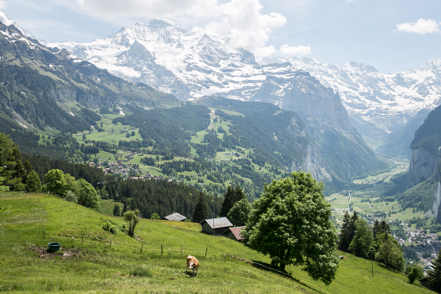 Klima und Finanzen – Umgang mit dem Klimawandel in der Schweiz