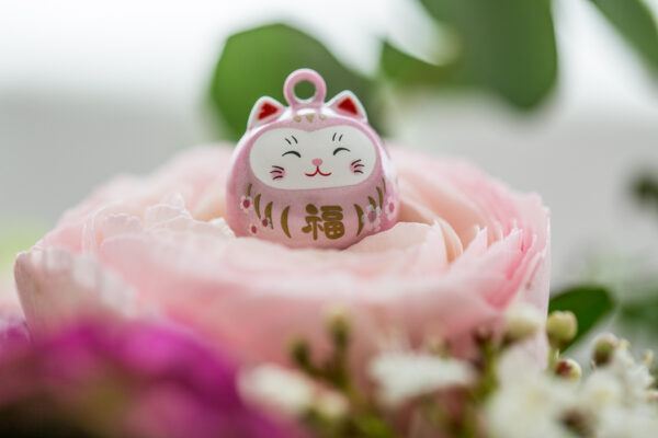 Vorsorge Schweiz erklärt