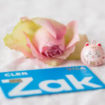 Zak Shopmate Erfahrungen