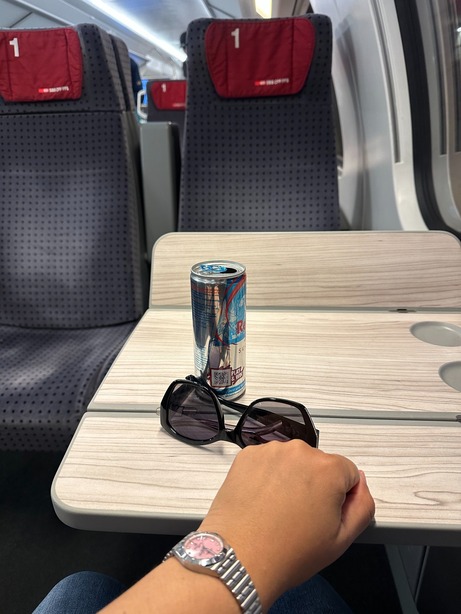 Frühmorgens im Zug nach Zürich
